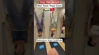 Wall Rope Yoga Class 🔥 | Dehradun Yoga Institute&rsquo;s Anti-Gravity Magic (Hindi + English)