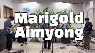 Marigold - Aimyong l BAND COVER l 제 3회 동방공연