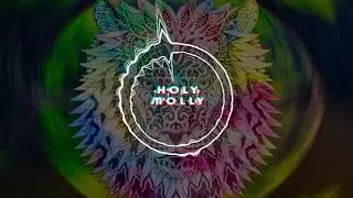 Holy Molly - New Beginnings