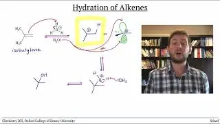 Alkene Reactivity 5: Hydration, OH to the More-Substituted Side (