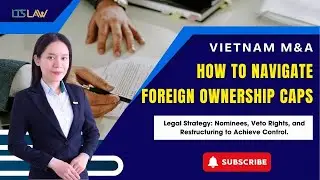 Vietnam M&A: How to Legally Navigate Foreign Ownership Caps | LTS LAW FIRM