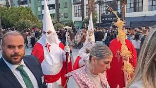 Procesión de La Borriquita, La Línea 2025.