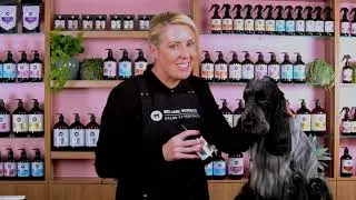 Everyday Cologne by Melanie Newman
