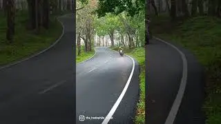wayanad road to Bangalore #bike #road #road trip #bullet #350 #wayanad #wayanadtrip #nature