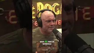 The Shocking Transformation of Gender Conversations Since 2004 #facts #podcast #jre