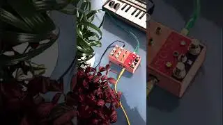 Creating an #ambient tapeloop with Microkorg and the Mood by @ChaseBlissAudio