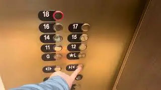 Otis Traction High Rise Elevators ~ Signia by Hilton Orlando Bonnet Creek ~ Orlando, FL