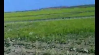 rabi3 boudnib boudenib بودنيب بوذنيب