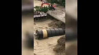 T&uuml;rkeli sele teslim oldu