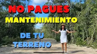 Venta de TERRENOS baratos en Tulum😎SIN HOA fees! 2025 desde $700 mil pesos ($40K USD)Financiamiento