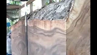 What a beautiful wood #nature #wood #woodstatue #treecutting #cuttingwood 