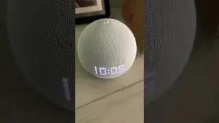 Alexa Echo Dot having trouble connecting to the internet #alexa