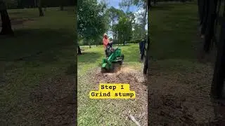 How to stump grind a Pine tree #diy #diylandscaping #howto #howtocook #homeimprovement #construction