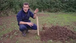 Community Orchard Project - How to Plant a Young Tree