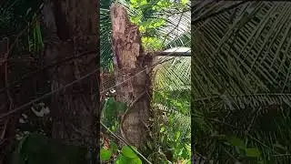 Siguruhin kaligtasan ng mga bata