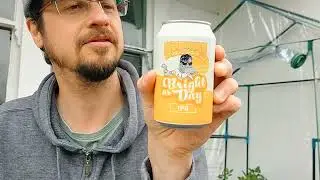 Behemoth - Bright As Day (Kiwi beer Reviews)