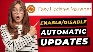 Easy Updates Manager Plugin Tutorial 🔥 - How to Enable & Disable WordPress Automatic Updates