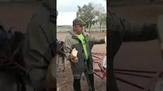 Que ganas tenia