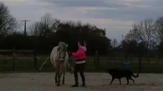 Zigzag appuyement aan de hand aanleren