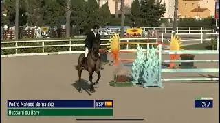 HUSSARD DU BARY (Bassano de Nantuel / Lux Z) 2017 Gelding - CSI* MET - 140 GP class - December 2025