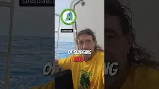 Sailing Off Course!