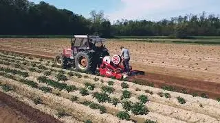 Societ&agrave; Agricola Le Pinete.