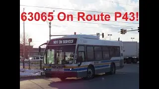 NeoplanDude | PG County's THE BUS 2022 Eldorado EZ Rider II BRT 32' #63065 On Route P43!