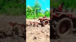 TAFE 4-Wheel Tractor Disc Harrowing in Sri Lanka Farming #srilanka
