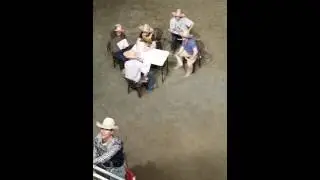 Stegall's Arena 2016 Bull Poker