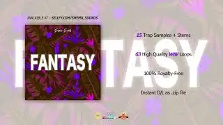 Trap Sample Pack 2020 (Trap Melody Loop Kit)