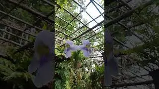 What a beautiful nature Clip 18 #shorts