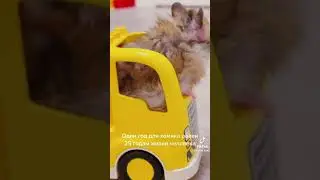 https://www.youtube.com/@xomka_27