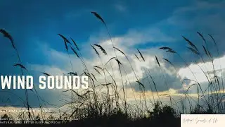 Howling Wind Sounds | Soothing, Peaceful, Calming, Better Sleep or Focus |