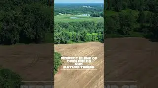35-Acre North Carolina Paradise with Pond & Creek &ndash; Seller Financing Available!