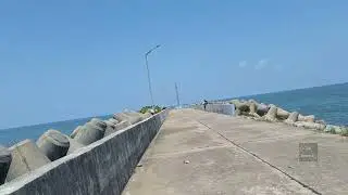 Kodi Beach 🌊⛱️ Kundapura | Mangrove Forest | Talk of the Town | ♡♡