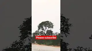 #sorts#sorts #video#Gajroop#vishwakarma 🇨🇮🙏🇨🇮