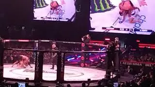 Bellator mma 264 - Gegard Mousasi vs.Salter rd.3 for the championship
