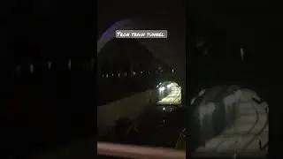 Tron Train Tunnel, Walt Disney World,  Magic Kingdom