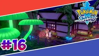 Final Pokemon | Pokemon Sword Episode 16 In Hindi | DhruTheGamer
