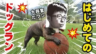 〜今日YouTubeに投稿された中で最も見る価値のないラノベ作家志望の一週間series〜4