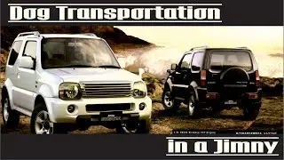 Переноска для собак Suzuki Jimny, модифицированная для перевозки домашних животных, с ковровым покрытием.