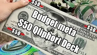 Budget Meta - 50$ QLIPHORT!!!!