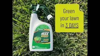 Green your lawn in 3 DAYS Scott&rsquo;s liquid green max lawn food 29-0-0 Easy connect to hose and spray 