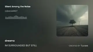 Silent Among the Noise