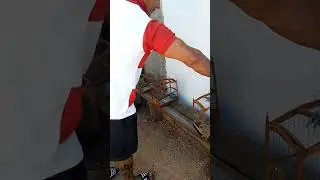 alexander tomeguin lo echa a peliar fuera de la jaula