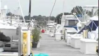 Norwalk Cove and Rex Marine
