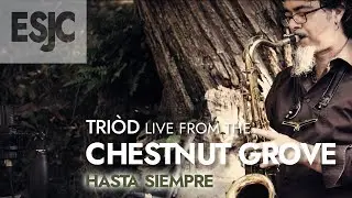 HASTA SIEMPRE - Tri&ograve;d 