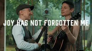 Ordinary Elephant - Joy Has Not Forgotten Me