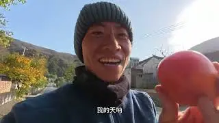 嘉陵江河谷逆流而上秋天的柿子晶莹剔透甜到治愈#长途骑行#旅行#行走山水间#柿子