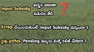 Input Subsidy 2022 AP Eligible List - Panta Nastam In AP Release Date || Siva Ganesh Pasupuleti